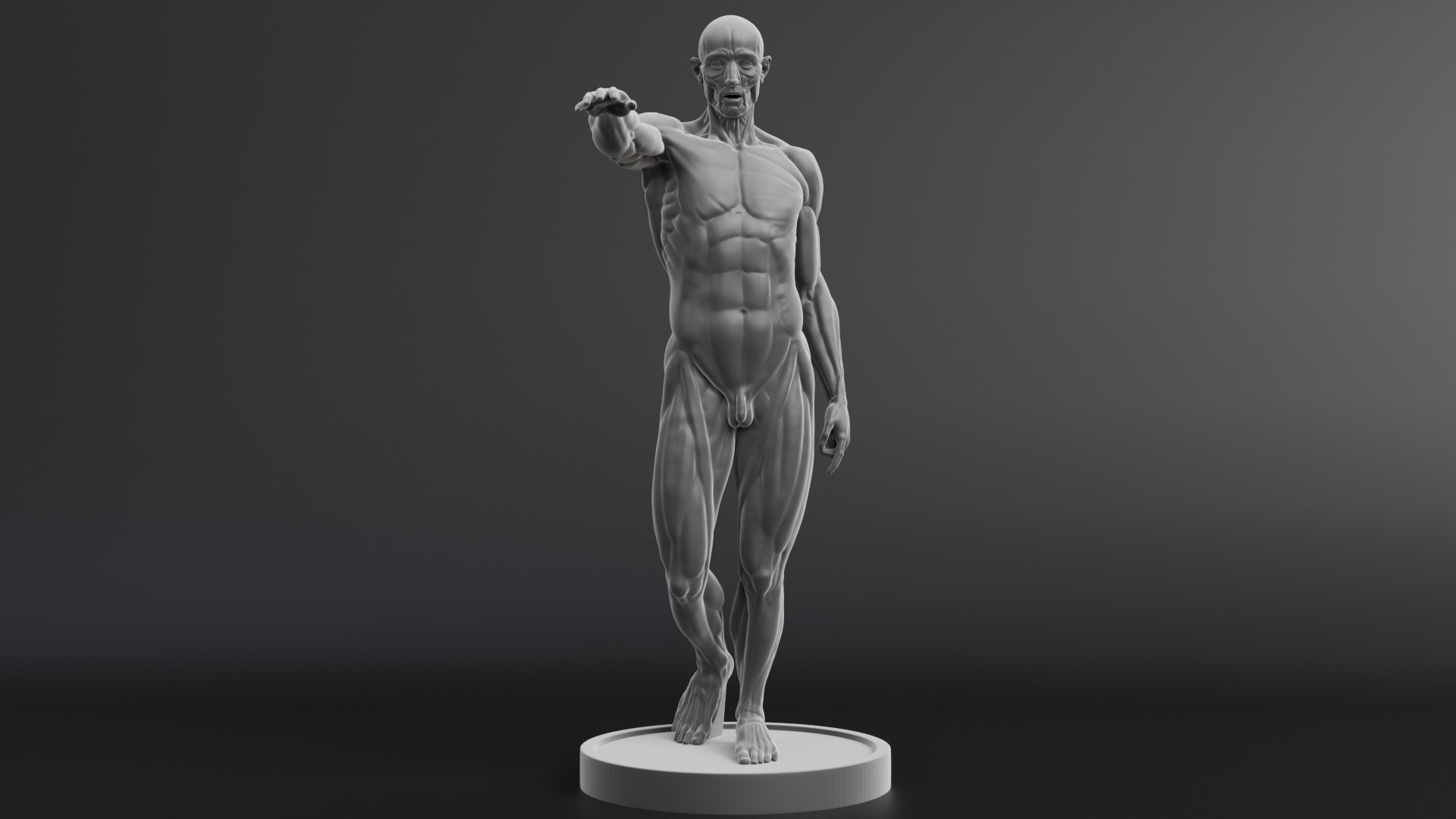 Houdon Ecorche STL model with FBX file 3D print model_2