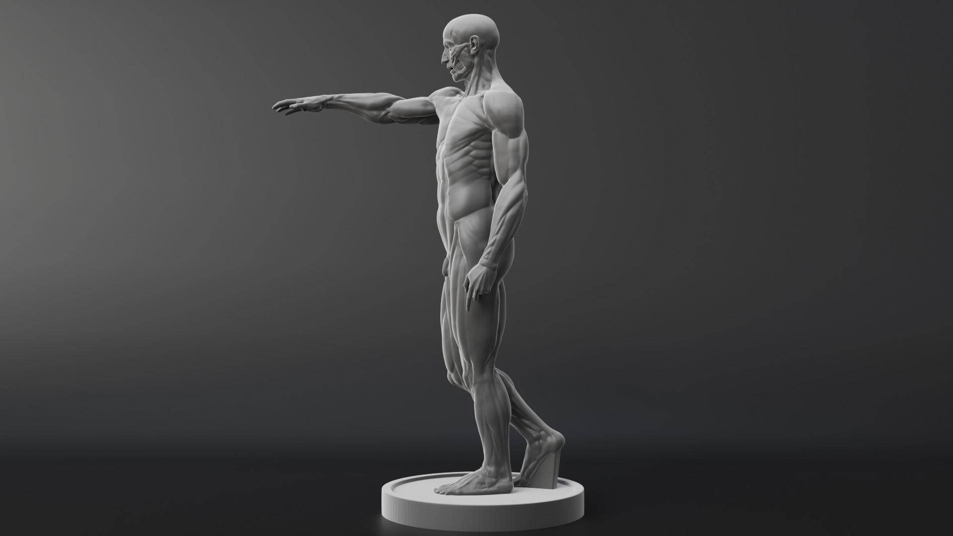 Houdon Ecorche STL model with FBX file 3D print model_3