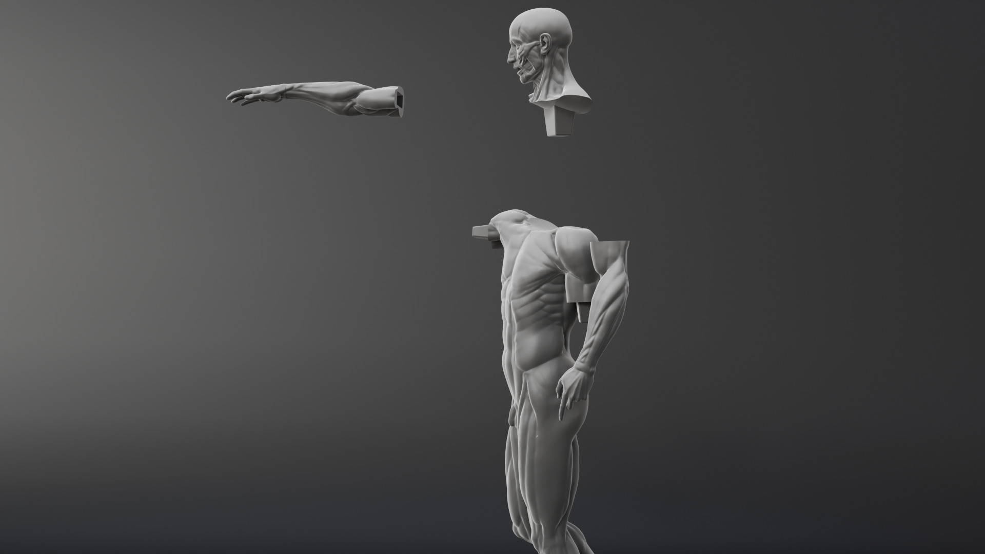 Houdon Ecorche STL model with FBX file 3D print model_10