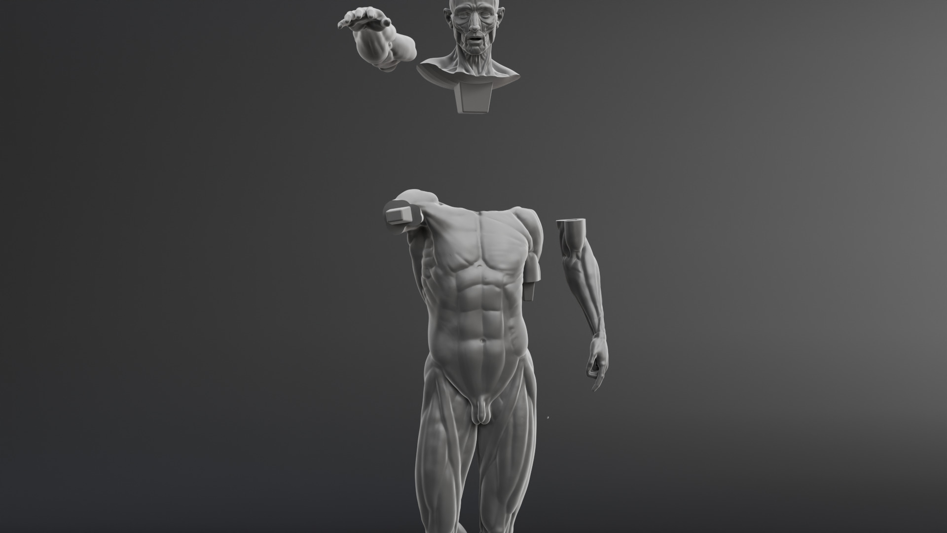 Houdon Ecorche STL model with FBX file 3D print model_9