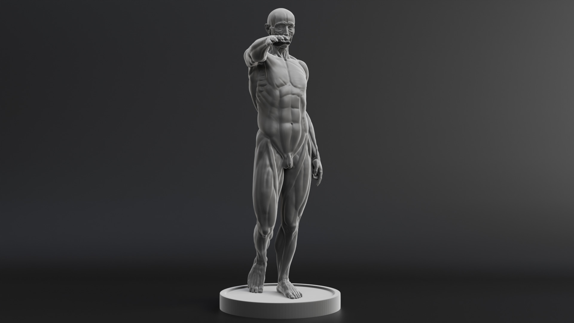 Houdon Ecorche STL model with FBX file 3D print model_5