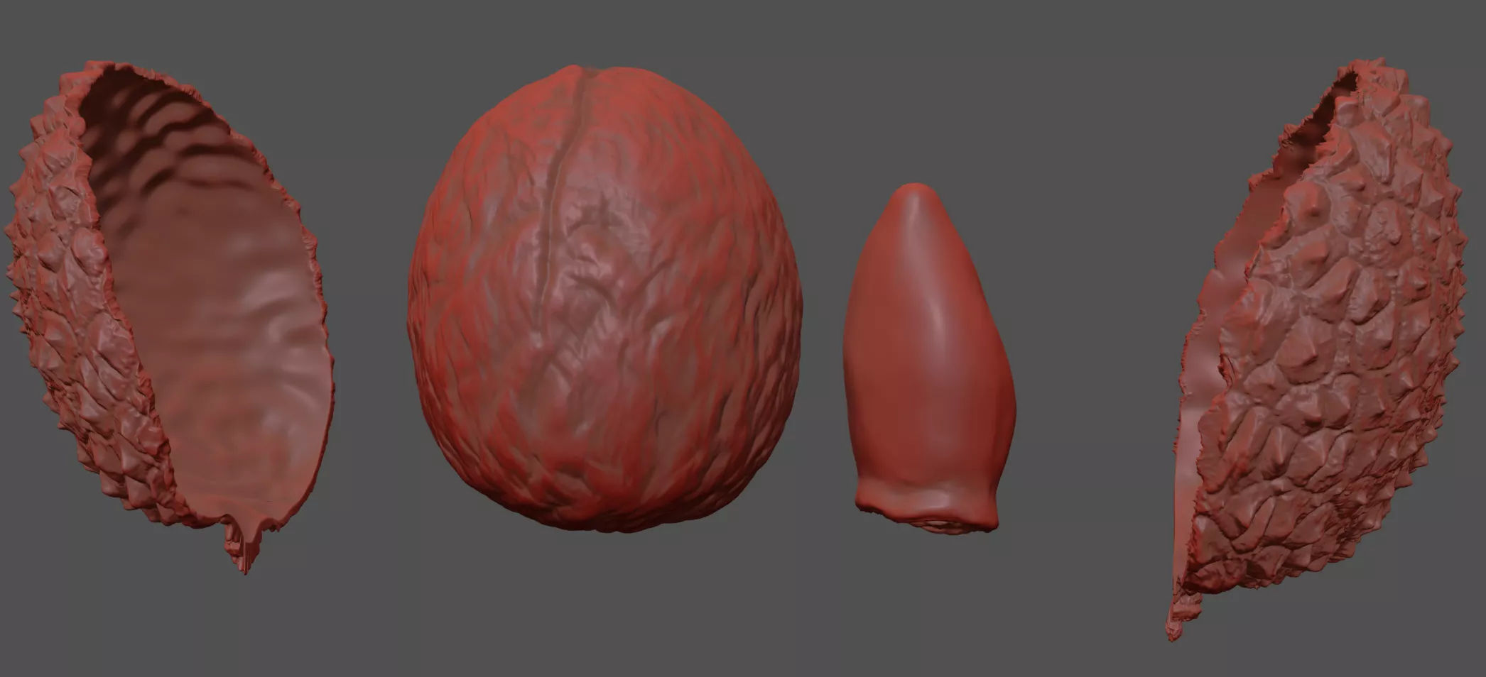 Lychee 3D model_7