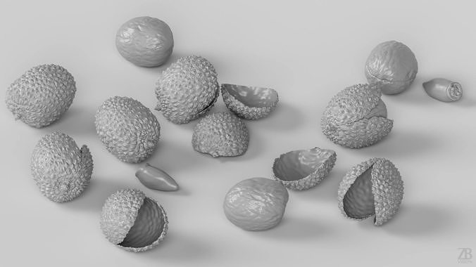 Lychee 3D model 4