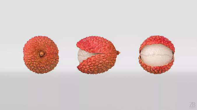 Lychee 3D model 5