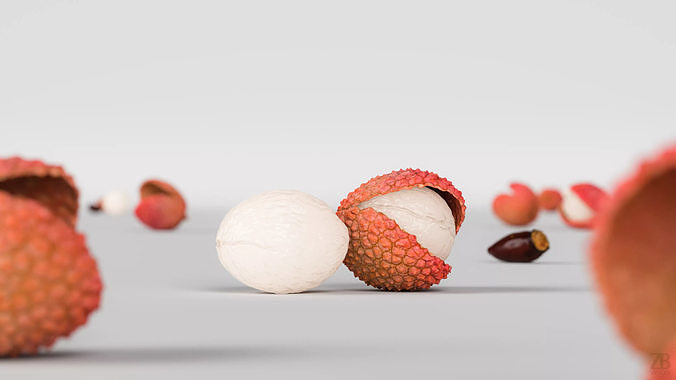 Lychee 3D model 2