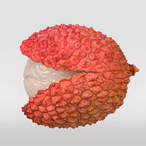 Lychee 3D model 6