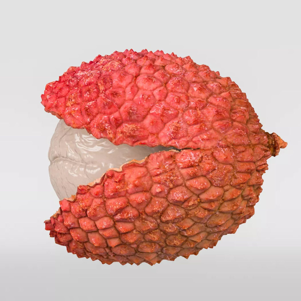Lychee 3D model_5