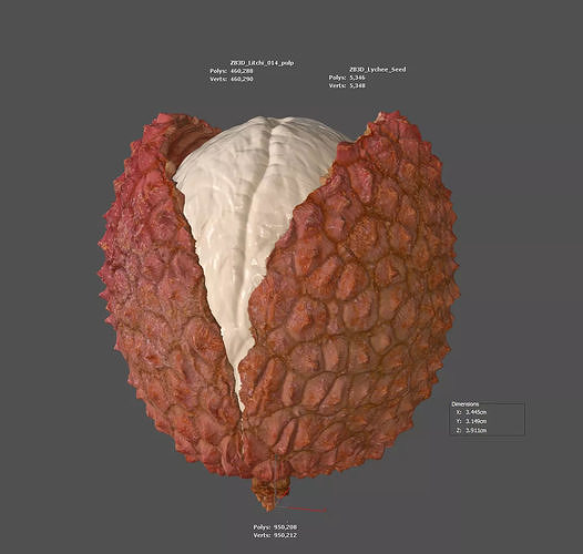 Lychee 3D model 7