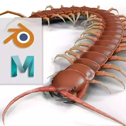 Centipede RIG Blender and Maya Free low-poly 3D model
