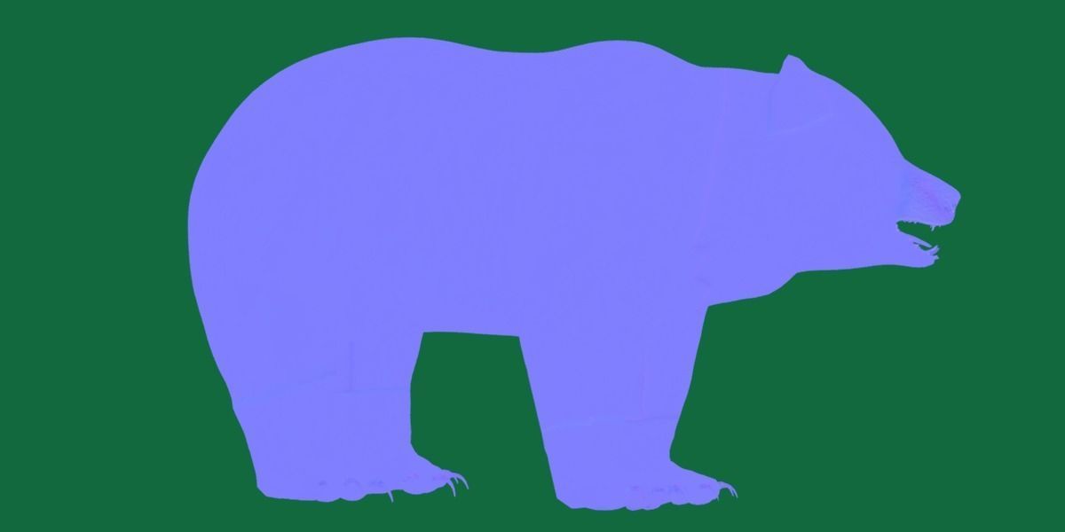 Louisiana Black Bear 3D model_31