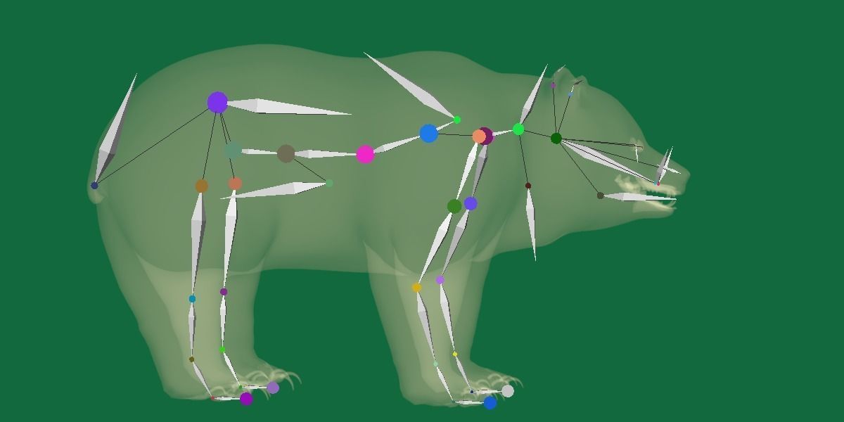 Louisiana Black Bear 3D model_25