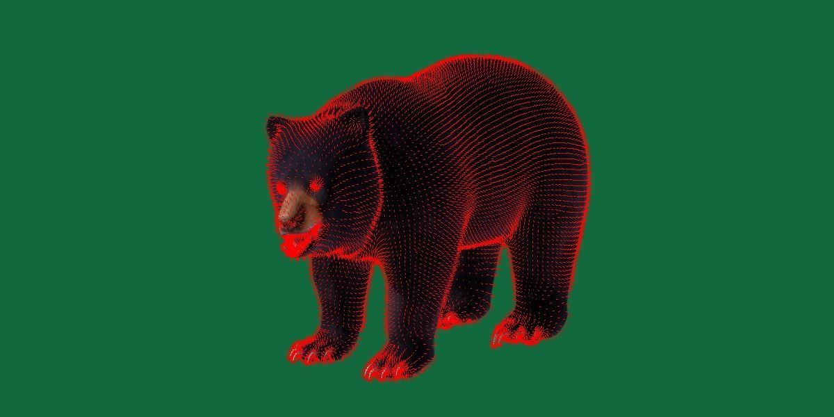Louisiana Black Bear 3D model_20