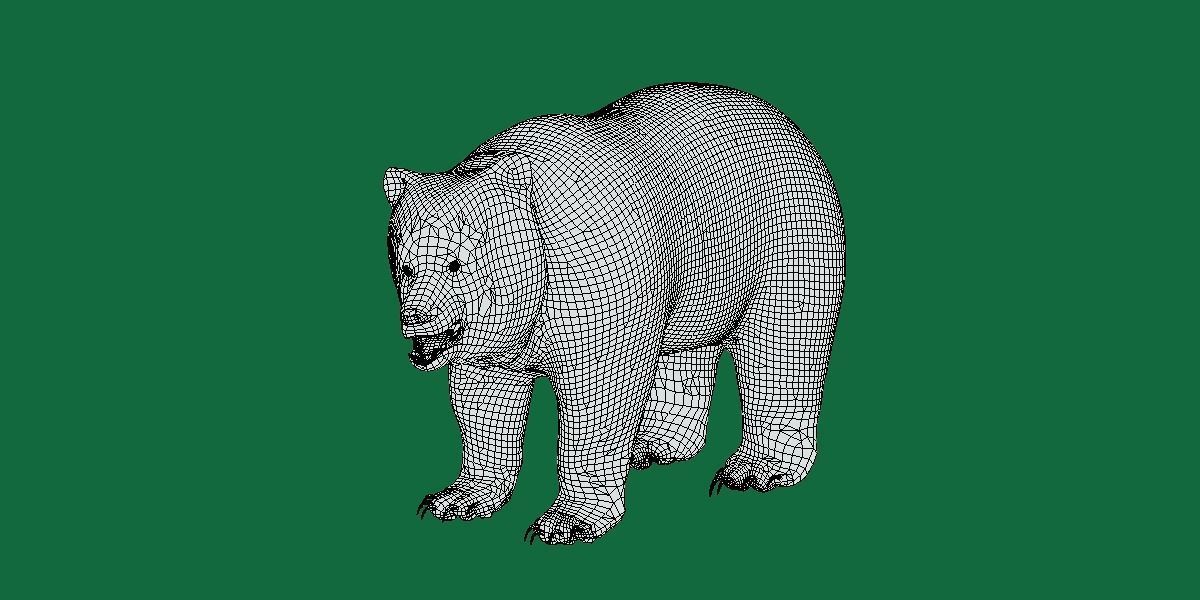 Louisiana Black Bear 3D model_19