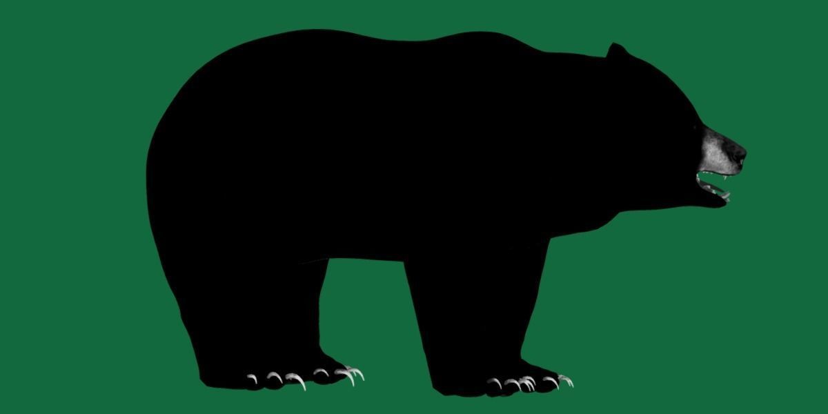 Louisiana Black Bear 3D model_15