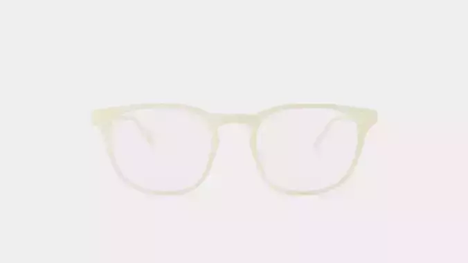 Semper Citrus Glasses