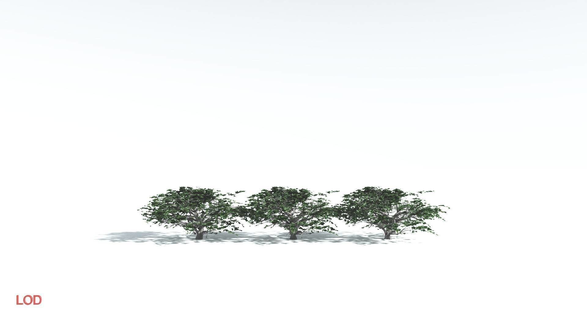 EVERYPlant Tree Heliotrope 4 --14 Models-- 3D model_4