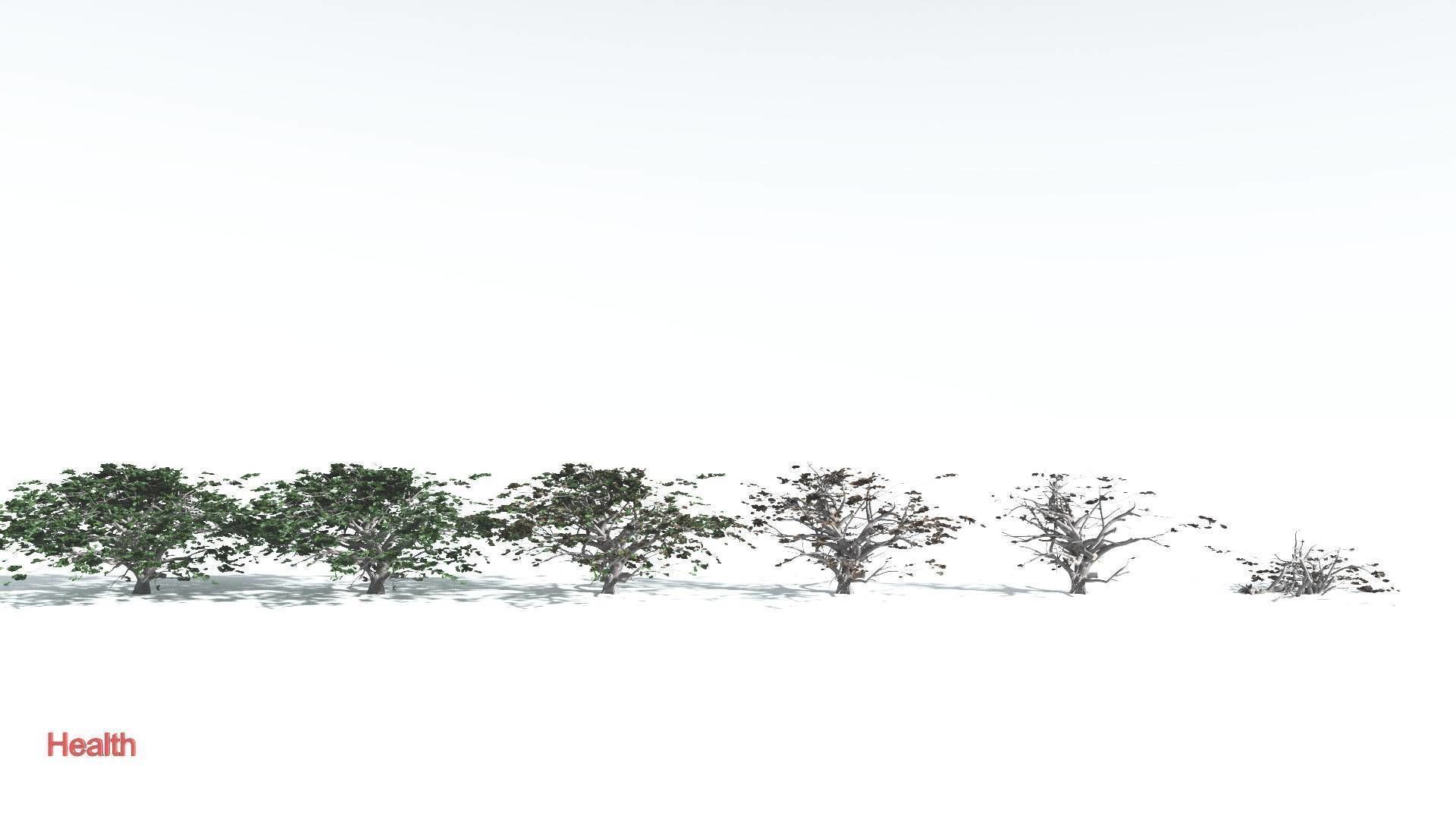 EVERYPlant Tree Heliotrope 4 --14 Models-- 3D model_2
