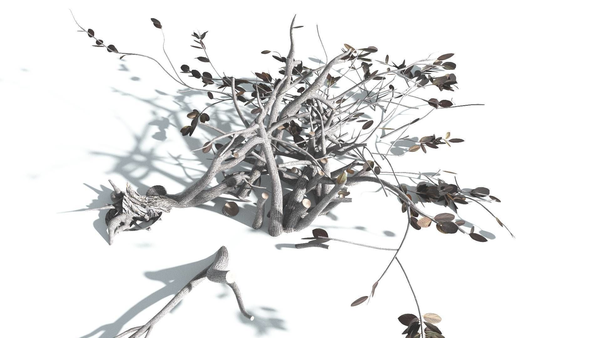 EVERYPlant Tree Heliotrope 4 --14 Models-- 3D model_20