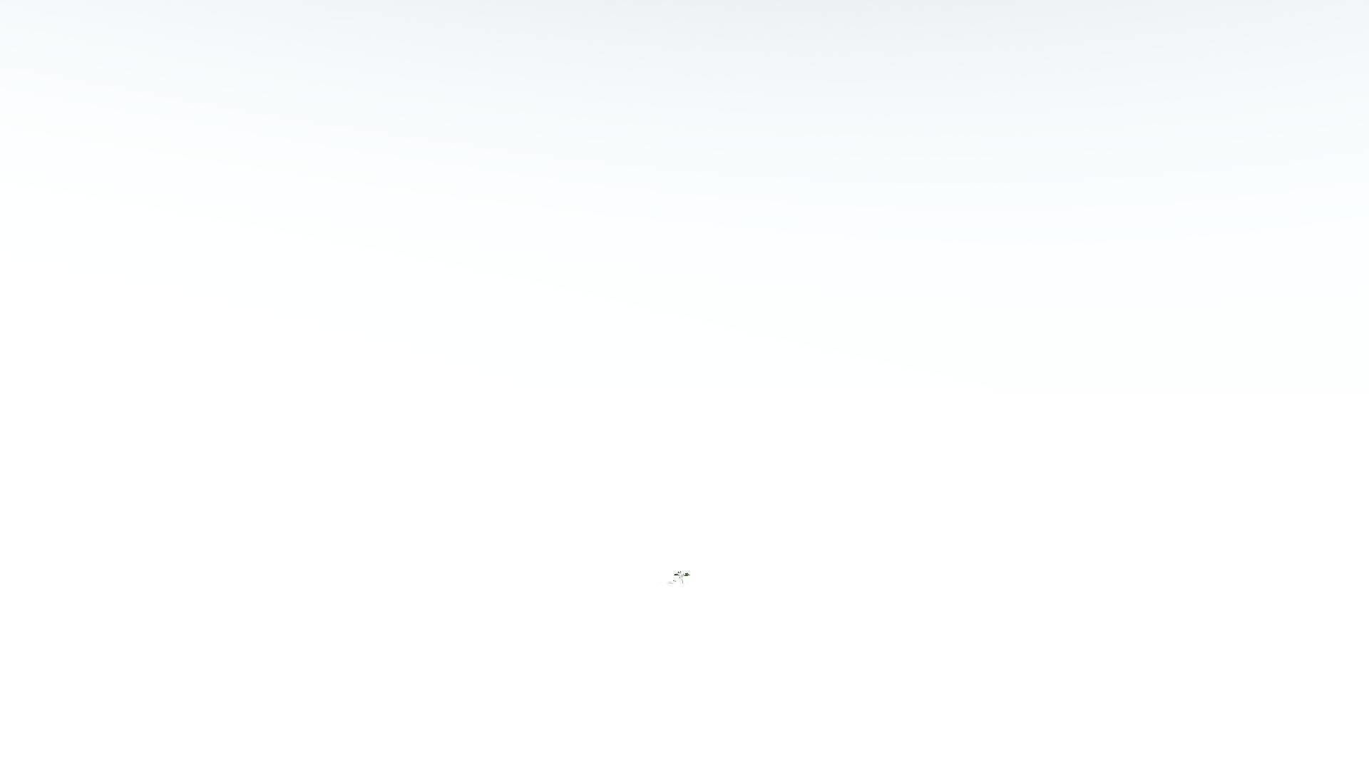 EVERYPlant Tree Heliotrope 4 --14 Models-- 3D model_27