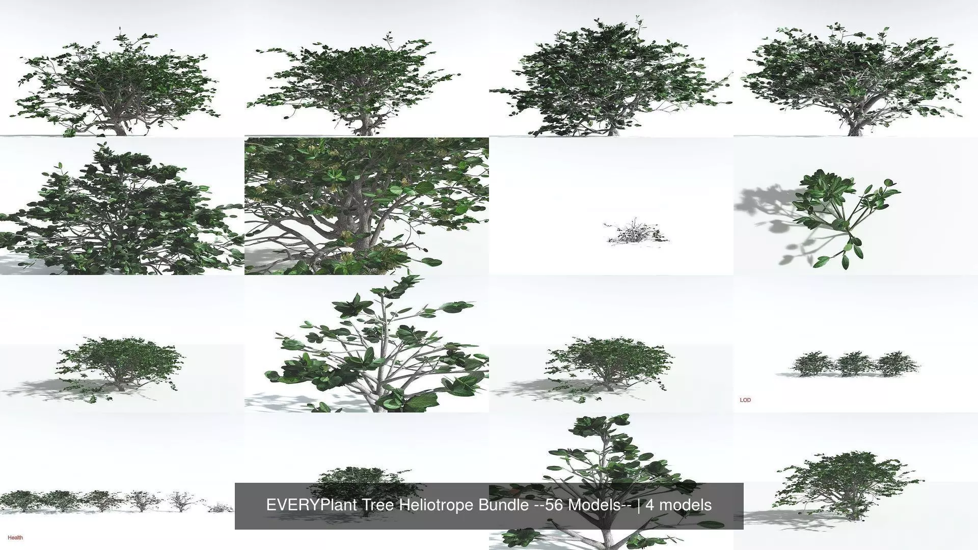 EVERYPlant Tree Heliotrope Bundle --56 Models-- 3D Model Collection_0