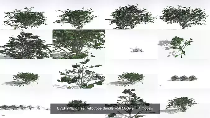 EVERYPlant Tree Heliotrope Bundle --56 Models-- 3D Model Collection