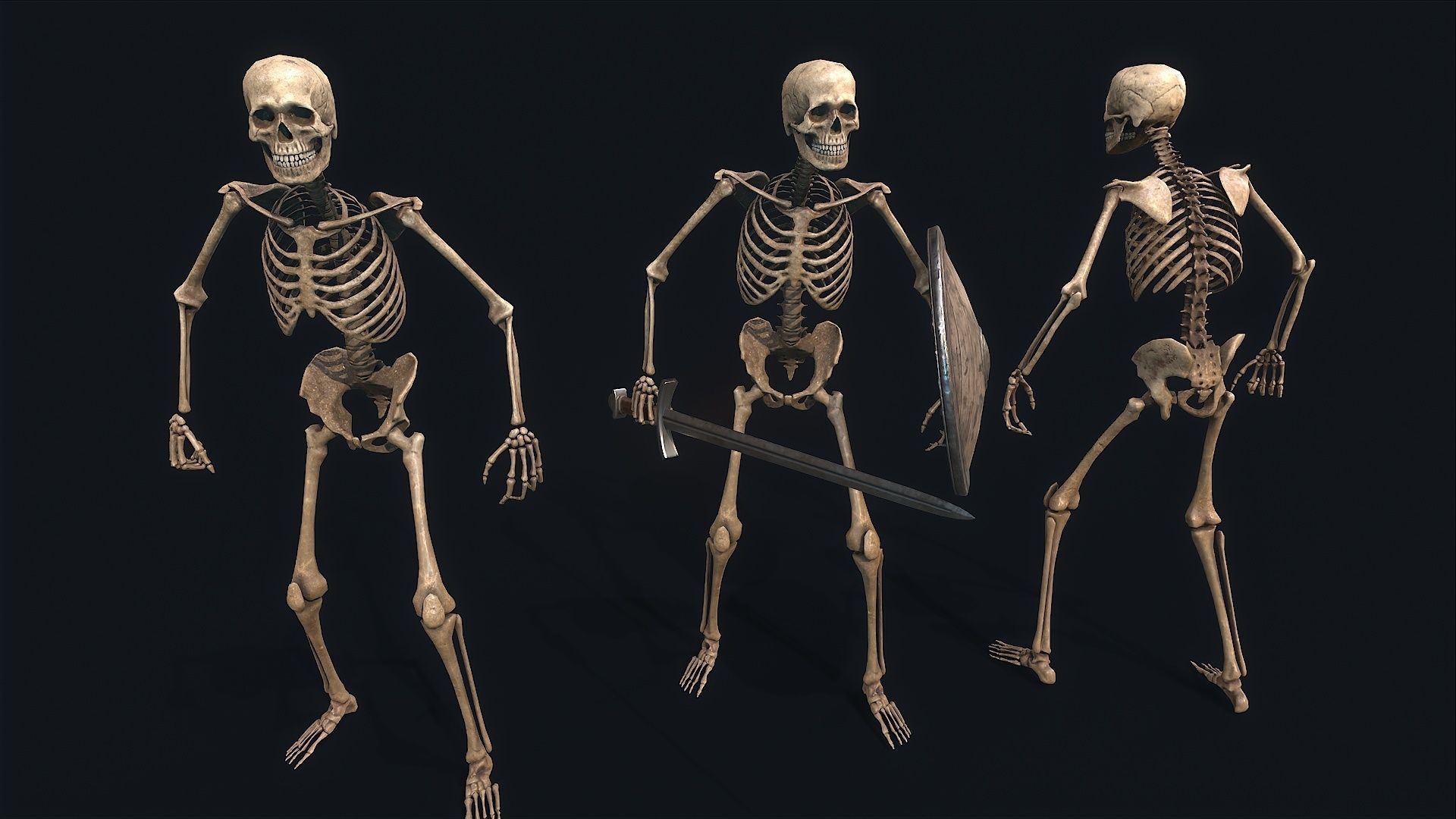Medieval Skeleton Knight Low-poly 3D model_8