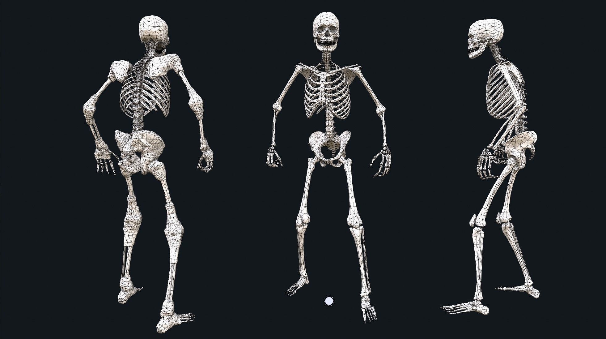 Medieval Skeleton Knight Low-poly 3D model_9