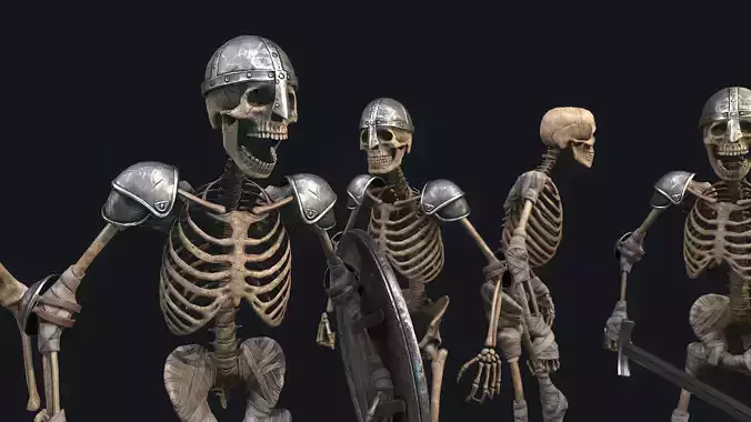 Medieval Skeleton Knight