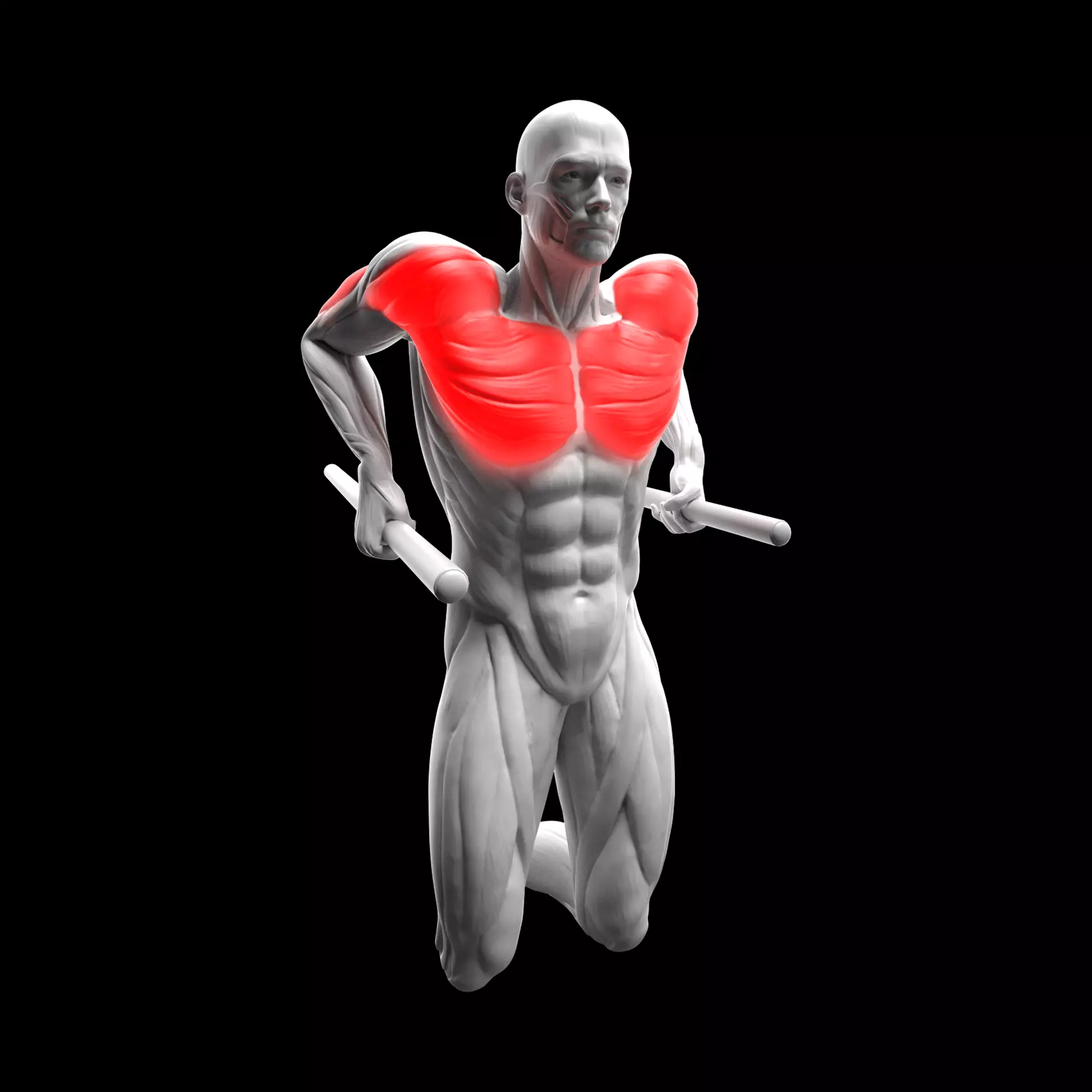 Parallel Bar Dips 3D model_0