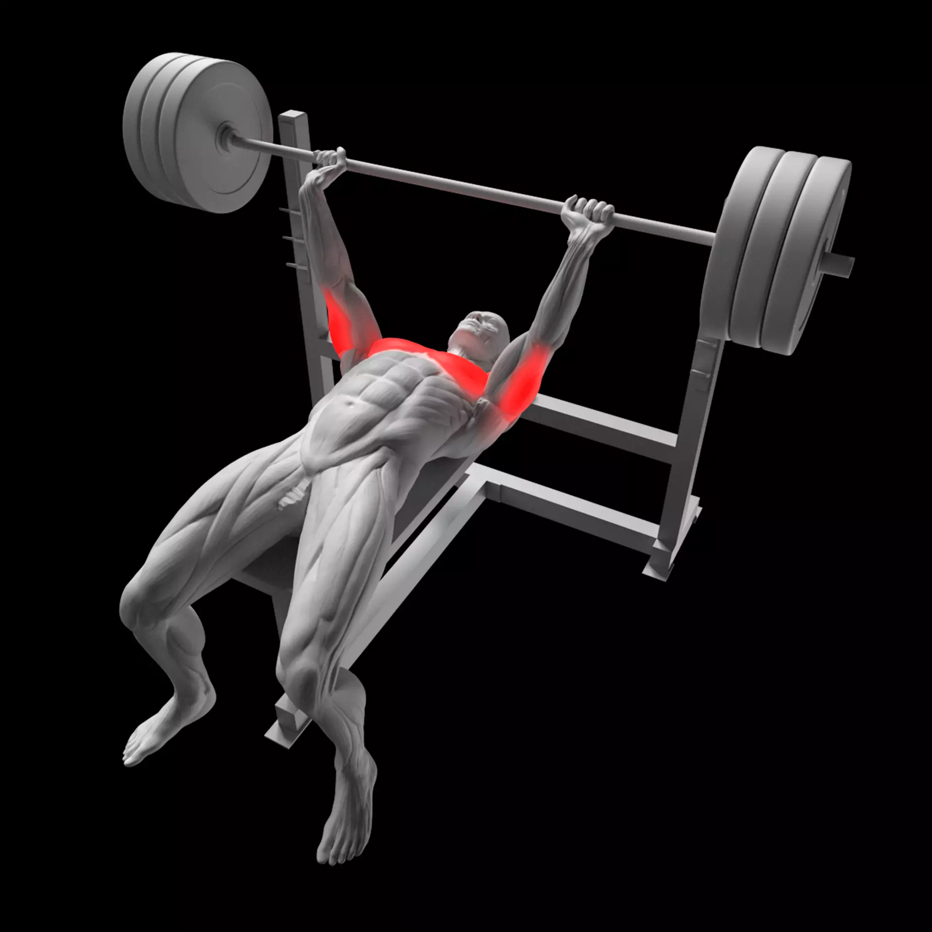 Bench Press 3D model_0