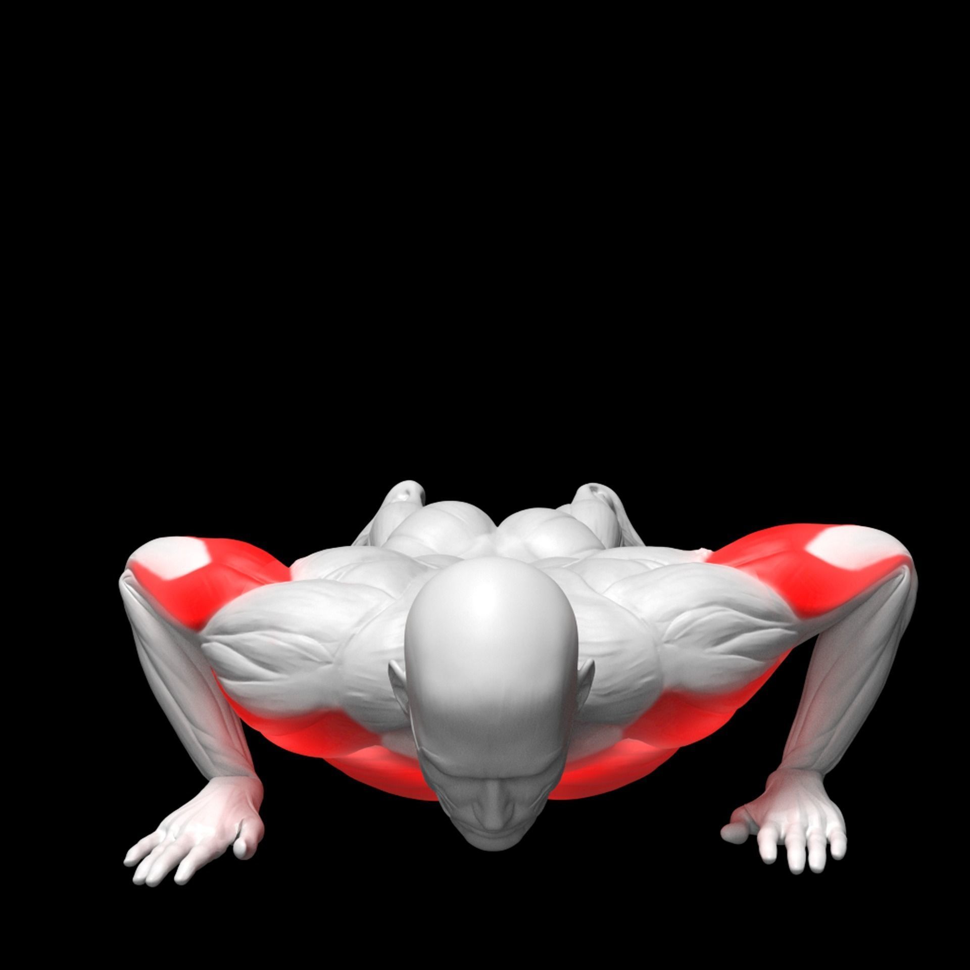 Chest Exercises Pack 3D model_10