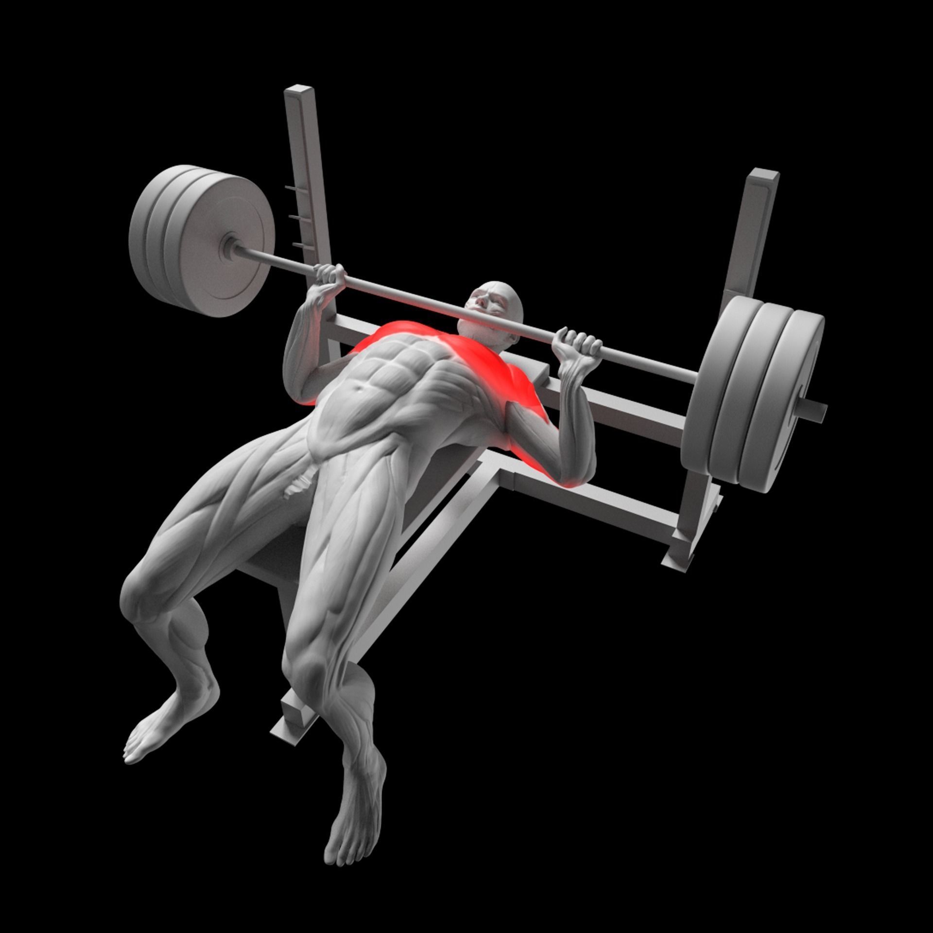 Chest Exercises Pack 3D model_12