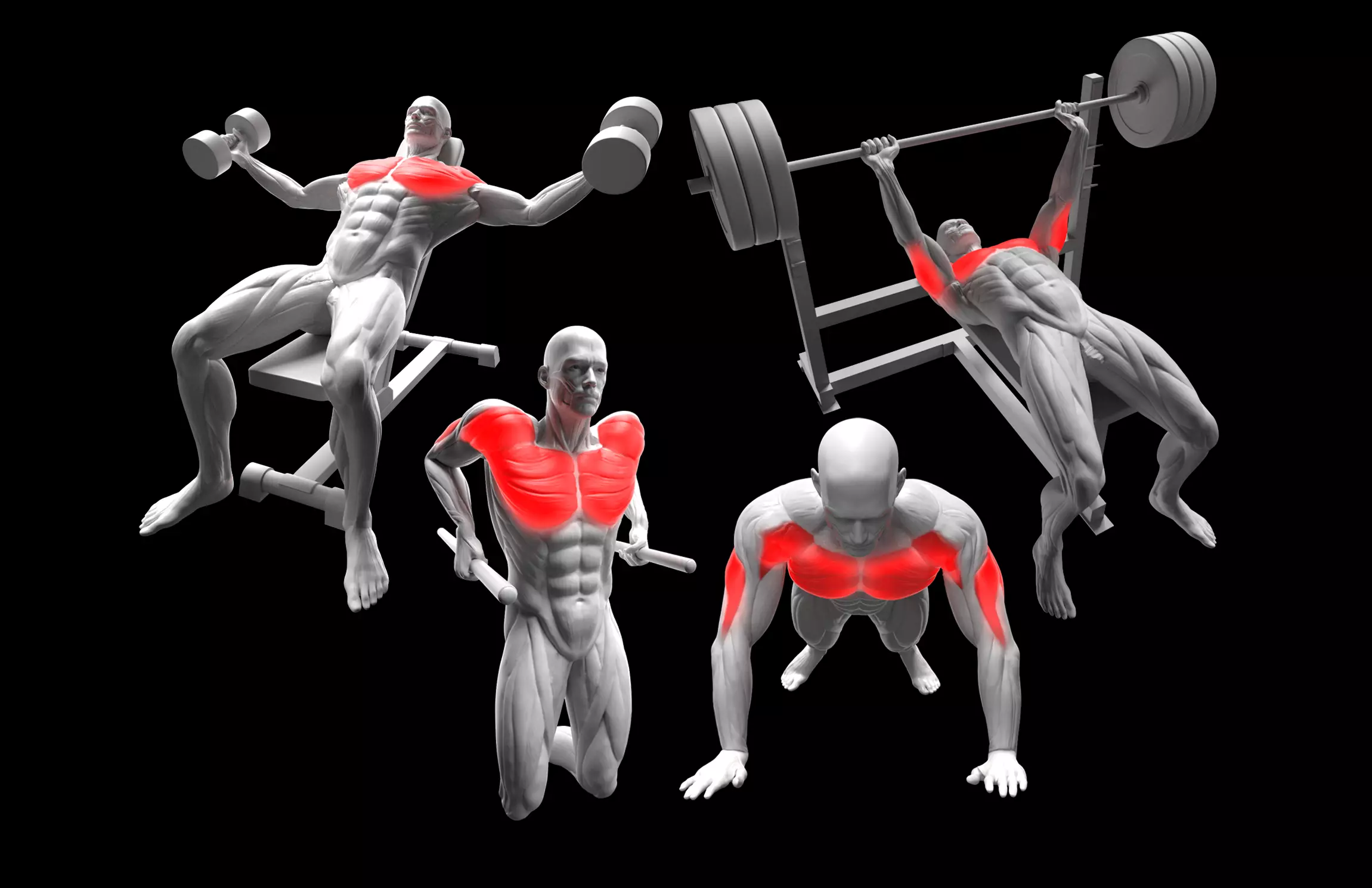 Chest Exercises Pack 3D model_0