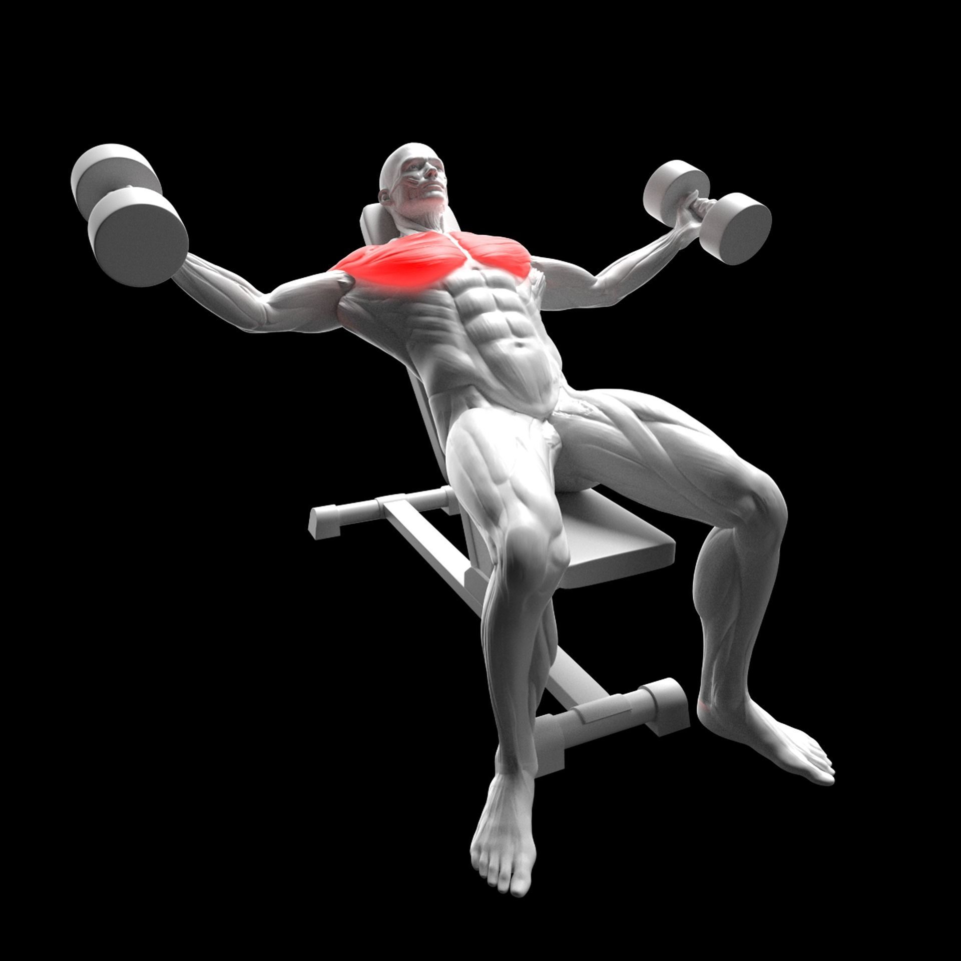 Chest Exercises Pack 3D model_5