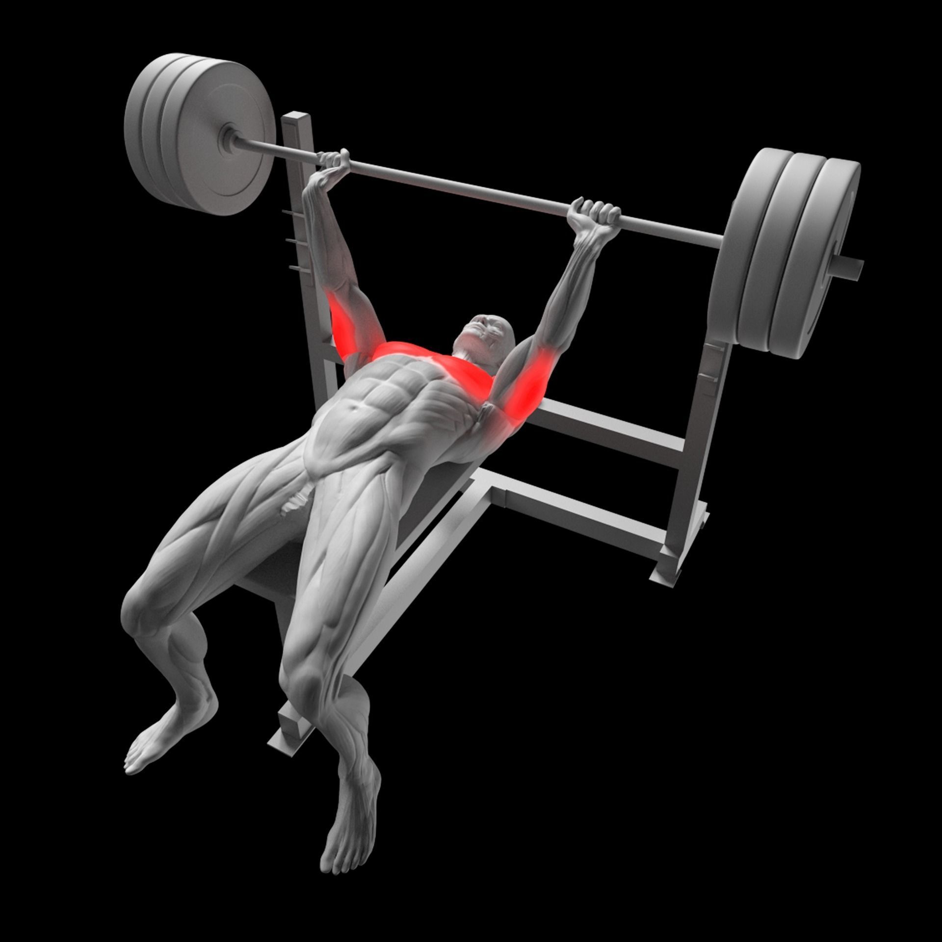 Chest Exercises Pack 3D model_11