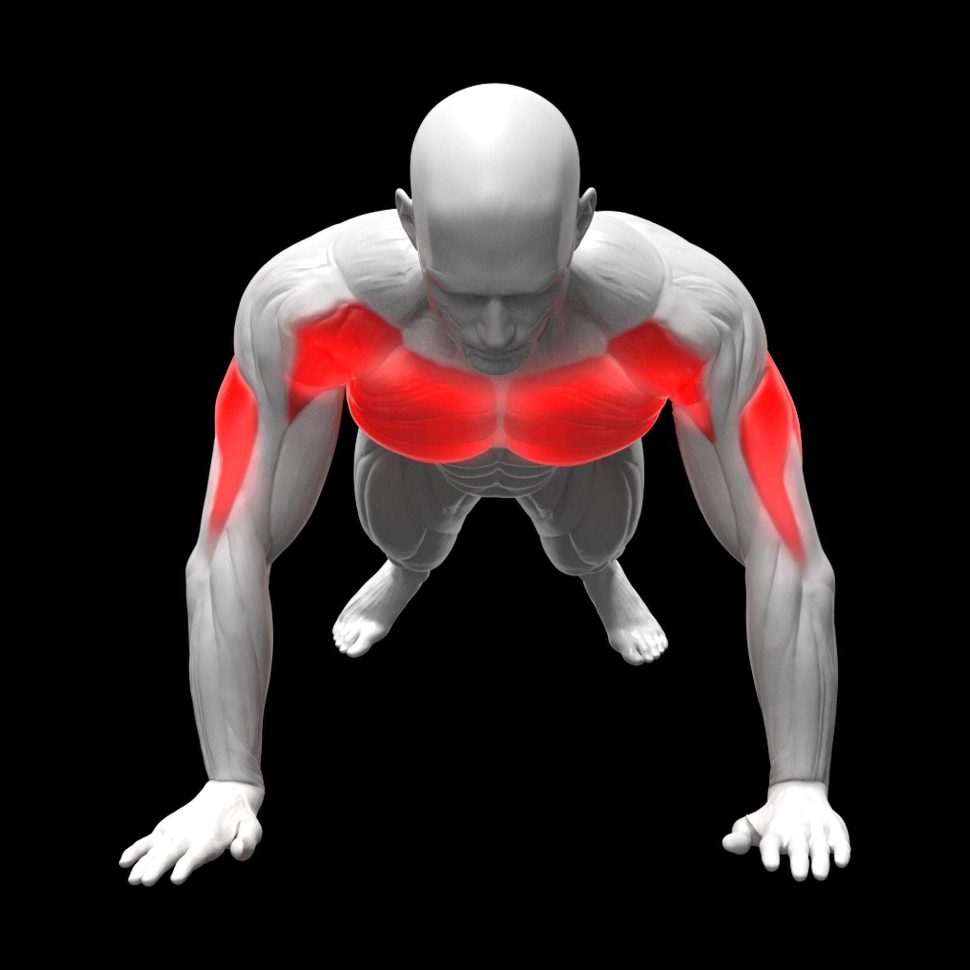 Chest Exercises Pack 3D model_9