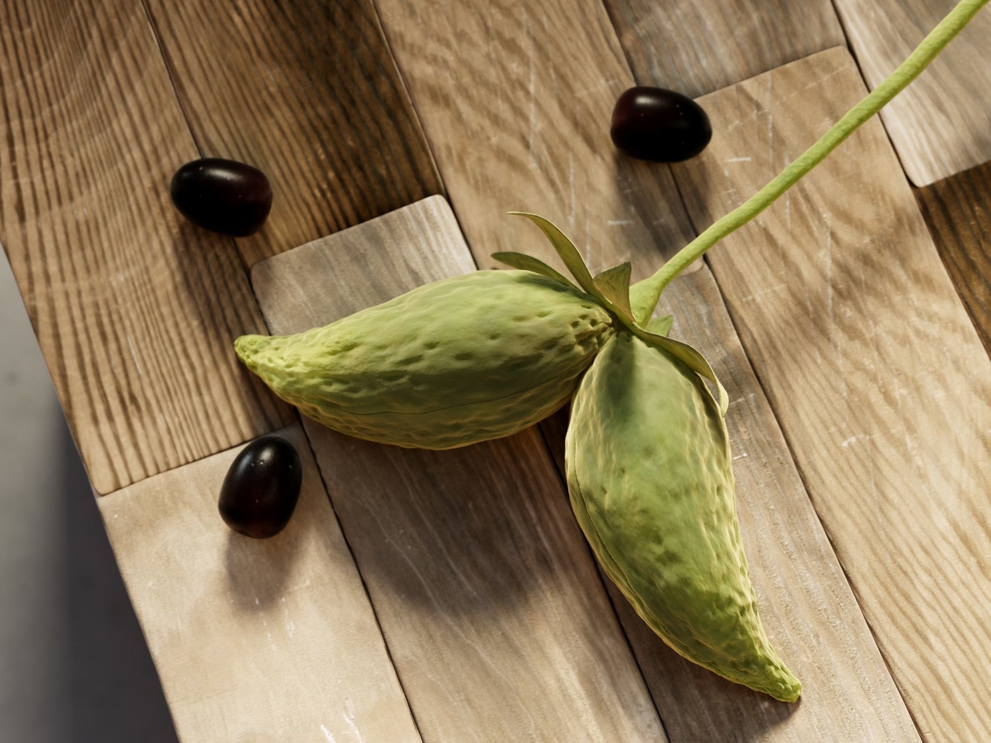 Composition Wood and Olives 3D model_2