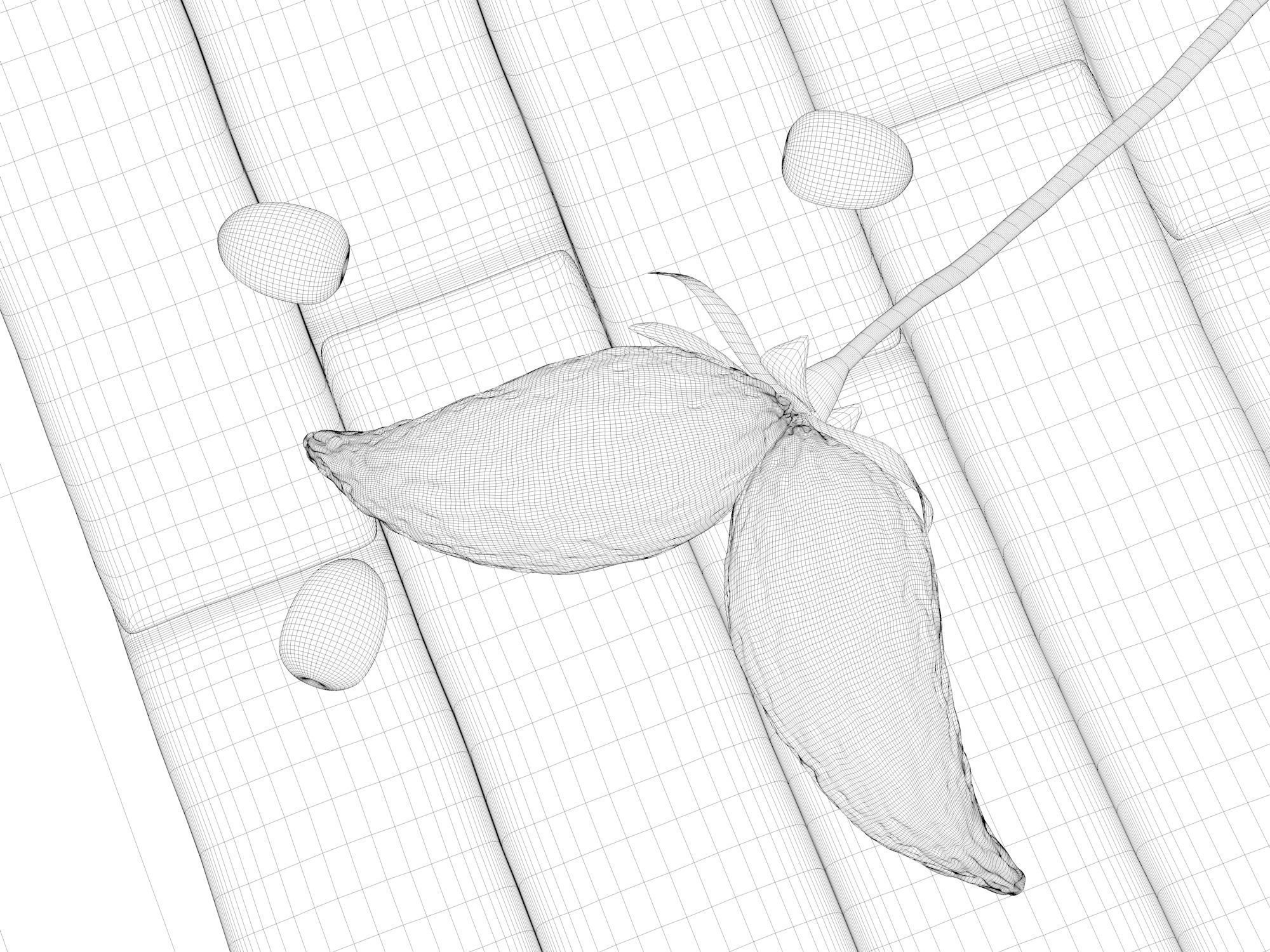 Composition Wood and Olives 3D model_3