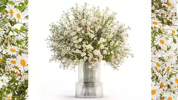 Bouquet White Wildflowers Chamomile Daisies Vase 436