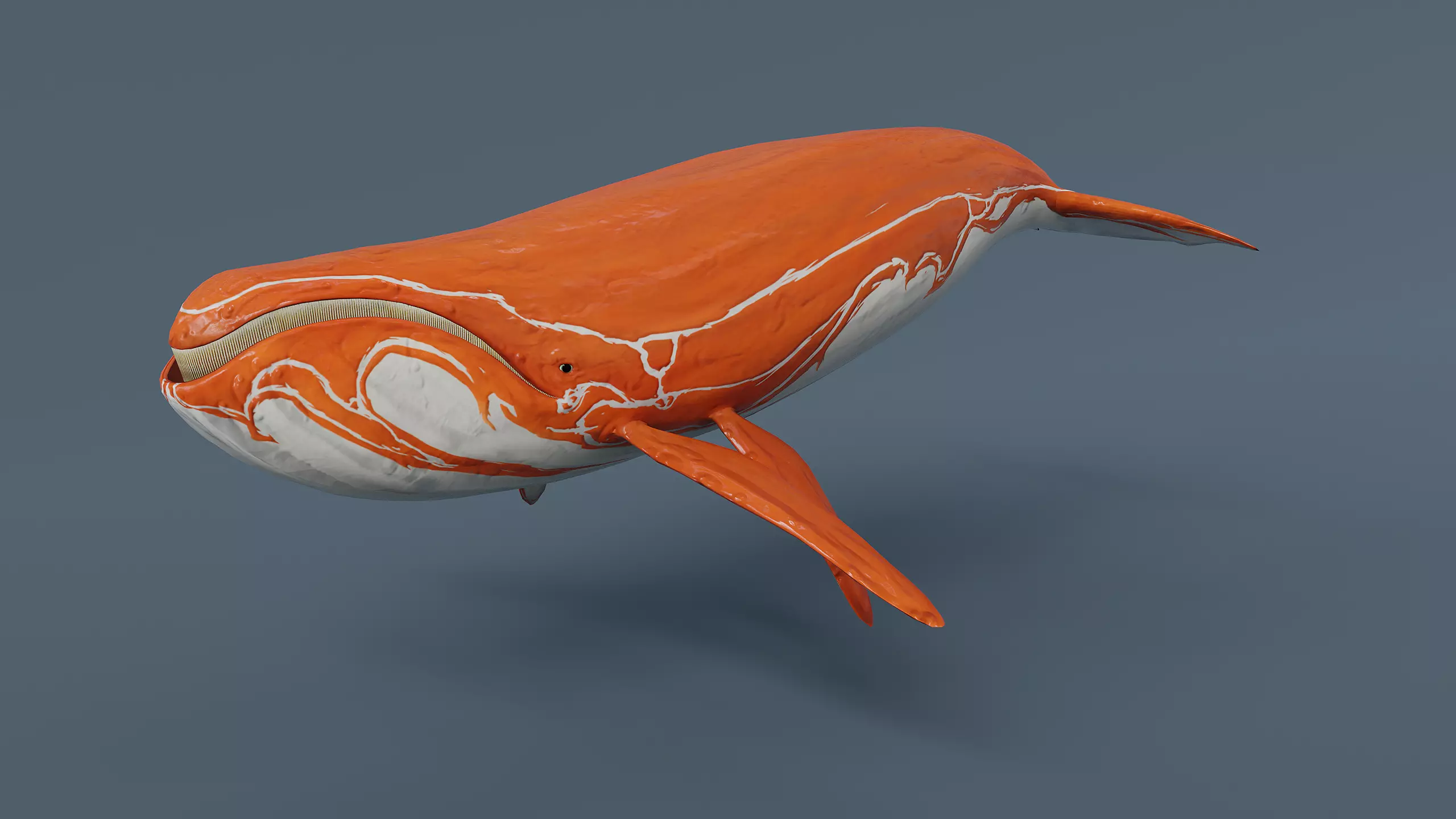 Fantasy Whale Low-poly 3D model_0
