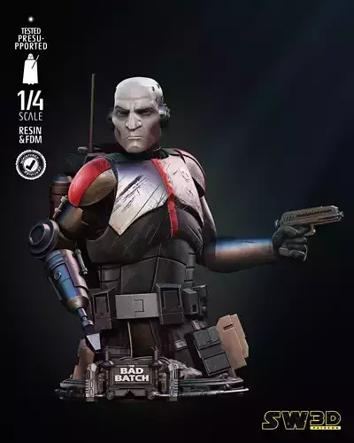 STAR WARS Echo Bust Tested for 3D Printing