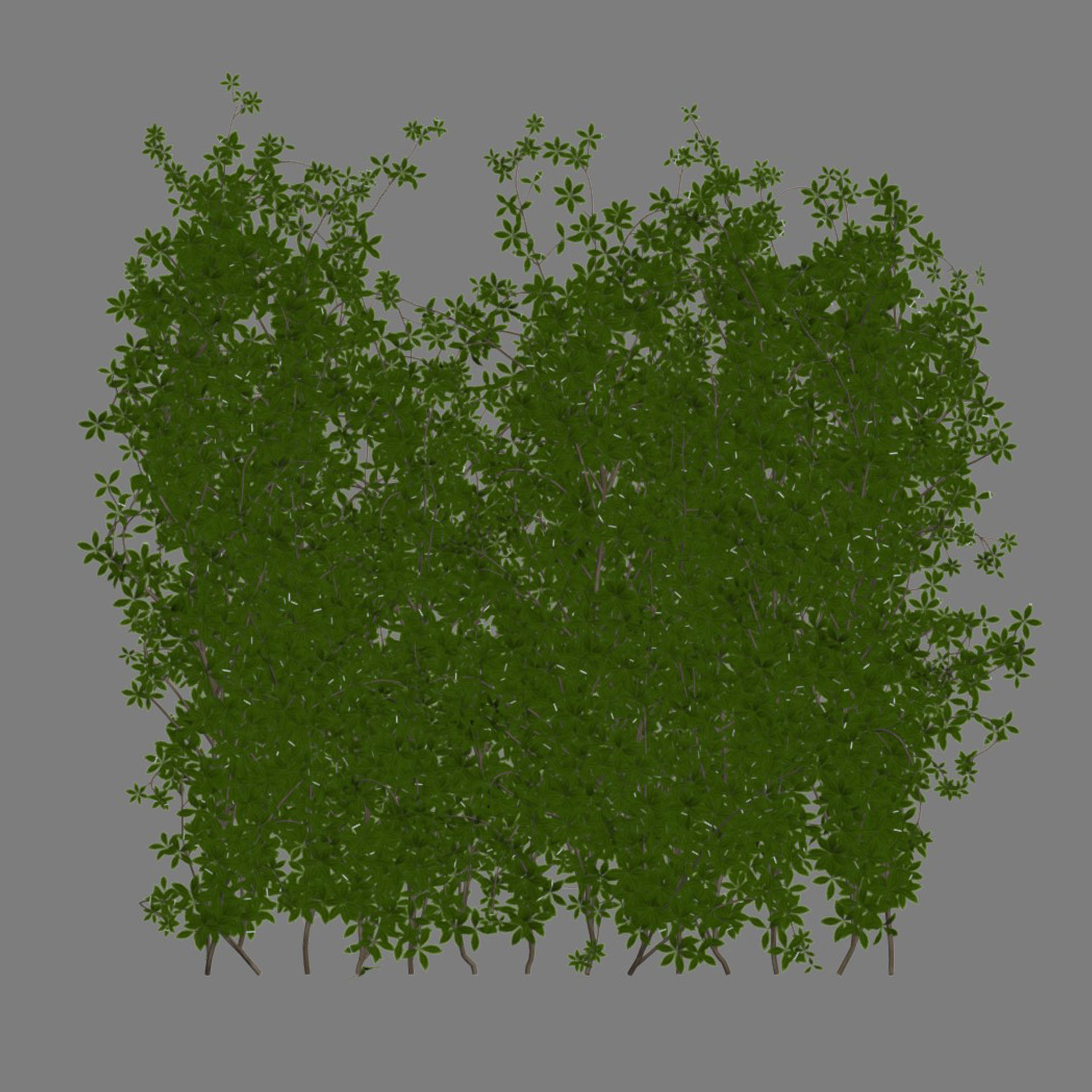 Creeper Plants vol 100 3D model_5