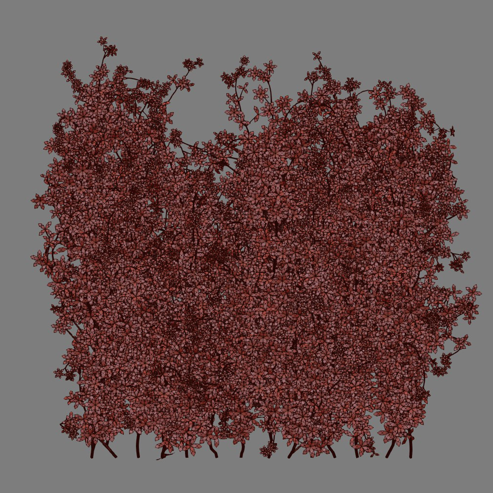 Creeper Plants vol 100 3D model_6