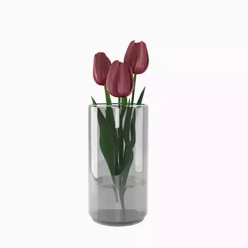 Red tulips in a glass vase