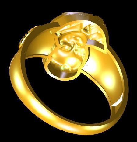 Dr babasaheb 3d ring 3D print model_3