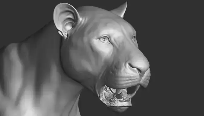 Lion highpoly 
