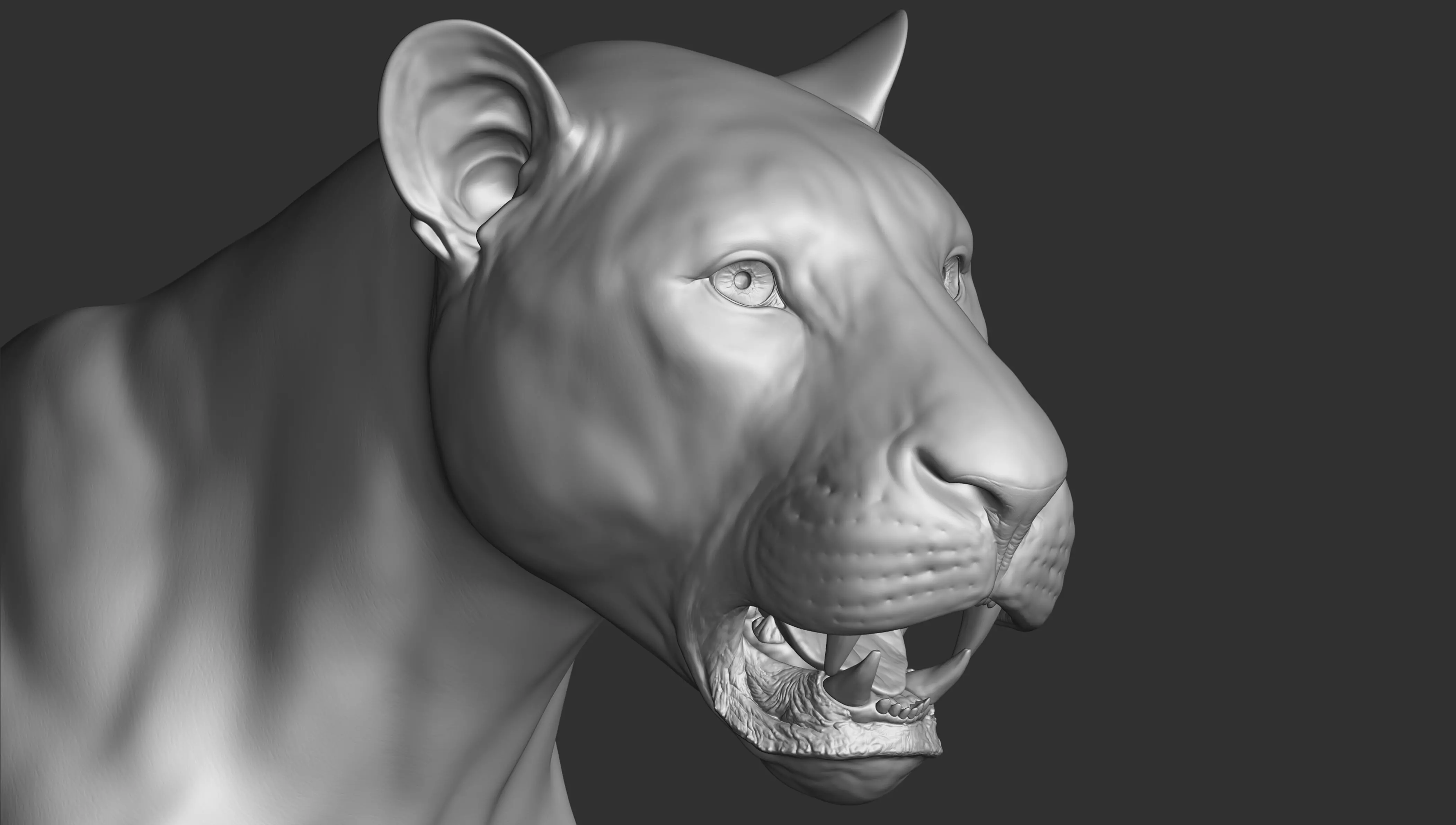 Lion highpoly 3D model