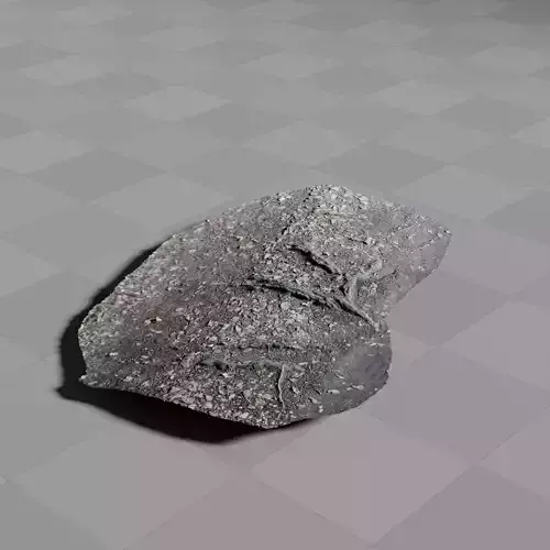 Forest Ground Photoscan 3D model