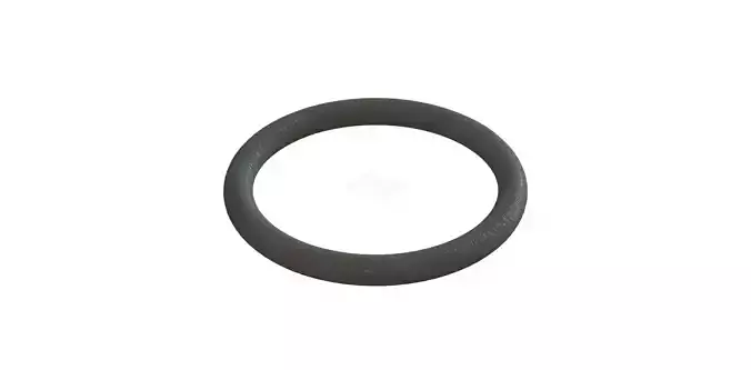 O Ring Vedabras 12497 3D model
