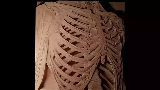 Ribs CNC 3d Print High Relief Sand Casting